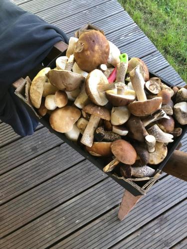 a person holding a tray full of mushrooms at Osada Skoczkowo komfortowe domki z prywatnymi wannami hot-tub nad jeziorem- sauna- balia- prywatny staw wędkarski in Podiazy