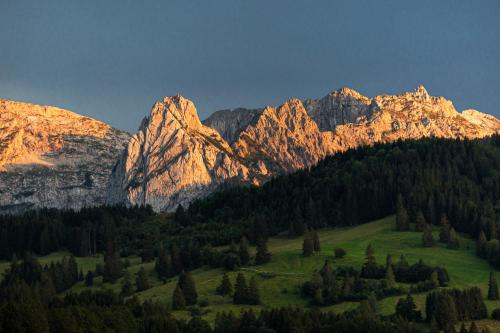 a mountain range with a green field and trees at Landhaus im Allgäu in Halblech