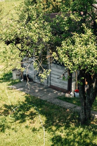 a small house in a yard with a tree at Apartamenty Madzia in Wisła