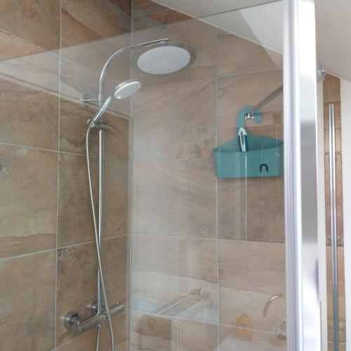 a shower with a shower head in a bathroom at Friesenauster - große Ferienwohnung für bis zu 6 Personen in Jever