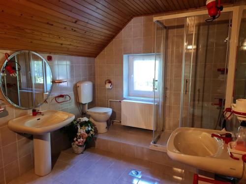 克拉尼斯卡戈拉的住宿－Holiday House Jasna，一间带水槽、卫生间和淋浴的浴室
