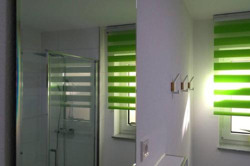 a bathroom with green windows and a glass shower at at Kessler Living and Sleeping in Kirchberg an der Jagst