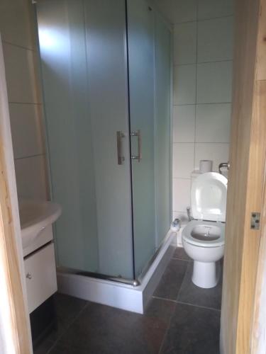a bathroom with a toilet and a glass shower at Posta Nehuen Tomillo in Potrerillos