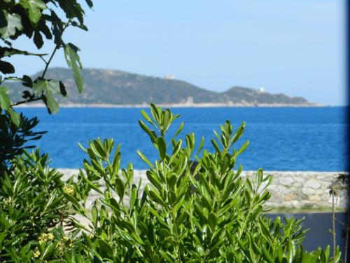 Φωτογραφία από το άλμπουμ του Hôtel SOLE E MARE σε Saint-Florent