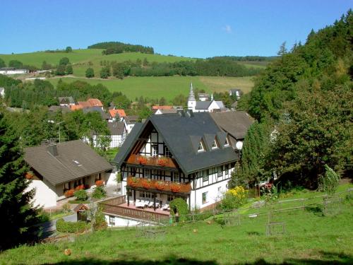 an aerial view of a large house in a village at Lauras Landhauspension in Medebach