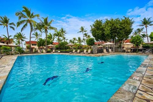 two dolphins in the water in a swimming pool at Keauhou Kona Surf & Racquet Club #6-104 in Kailua-Kona