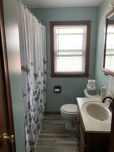 a bathroom with a toilet and a sink and a window at Niagara Falls Private Brick Vacation Home in Niagara Falls