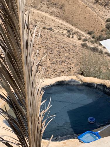 - une piscine bordée d'un palmier dans l'établissement אוהל לוט, à Arad