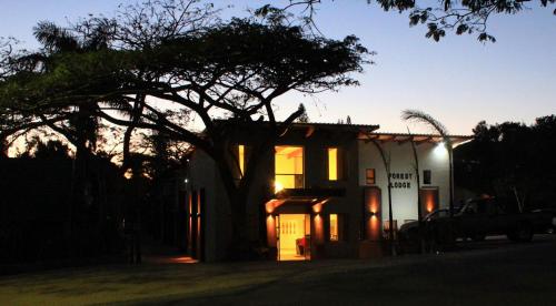 a house with a tree in front of a building at Forest Lodge in St Lucia