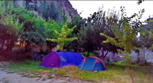 two tents in the grass next to some trees at Northern Sapphire in Hunza