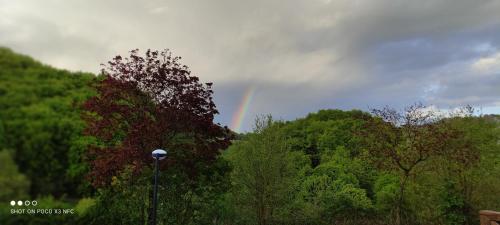 a rainbow in the sky over some trees at Lavender Hill in Messinghausen