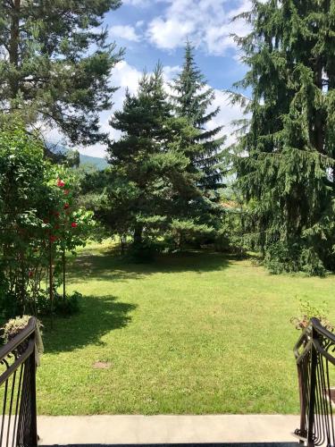 a view of a yard with trees and grass at Valleverde in Caraglio