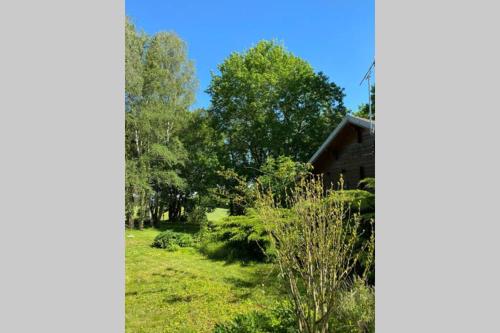 a view of a garden with trees and a house at Maison 2 chambres proche Dijon chalet niché dans la nature in Saint-Maurice-sur-Vingeanne