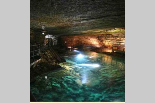 a cave with a pool of water in it at Maison 2 chambres proche Dijon chalet niché dans la nature in Saint-Maurice-sur-Vingeanne