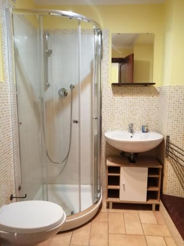a bathroom with a shower and a sink at San Rocco Affittacamere in San Severino Marche