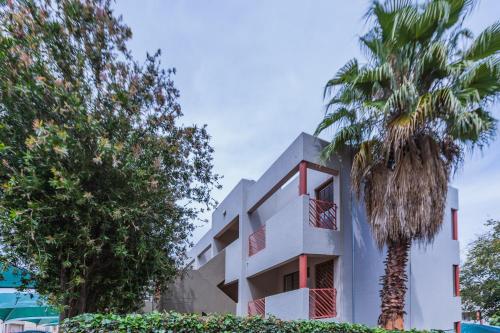 a white building with a palm tree in front of it at Bedfordview Haven in Johannesburg