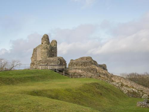 an old castle on top of a grassy hill at Holly Lodge in Welshpool