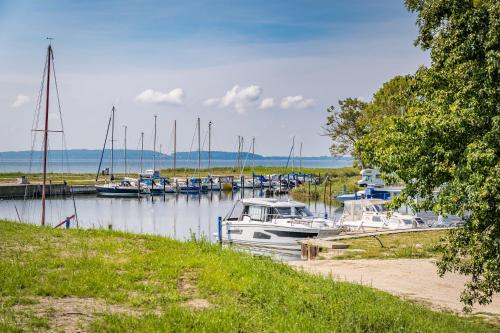 a group of boats docked at a marina at Marina Martinshafen in Sassnitz