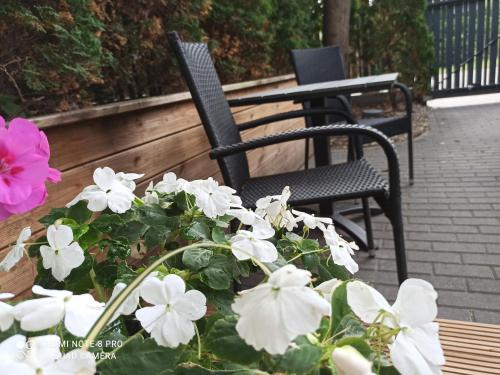Ein Garten an der Unterkunft NEW LOFT APARTMENTS JURMALA with FREE SECURED PARKING
