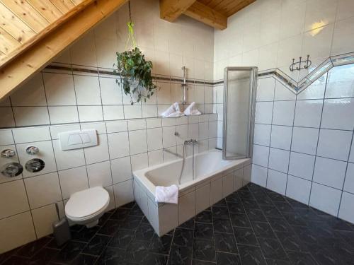 a bathroom with a toilet and a bath tub at Ferienwohnungen Am Kirchberg in Neualbenreuth