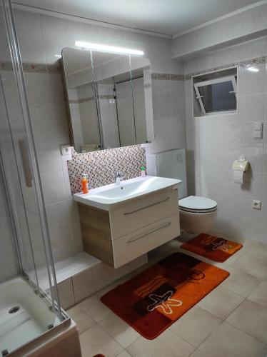 a bathroom with a sink and a shower and a toilet at Privatzimmer Guhl in Munster im Heidekreis