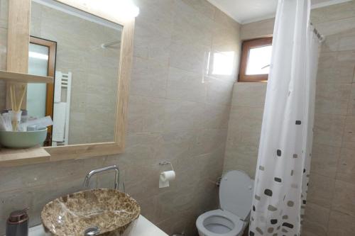 a bathroom with a sink and a toilet and a mirror at La Helesteu in Lăzăreşti