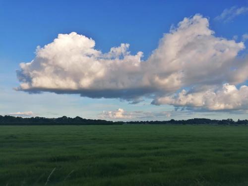 a large green field with clouds in the sky at Casa Foresta - minimalistisches 1-Raum Tiny House direkt am Wald in Wingst