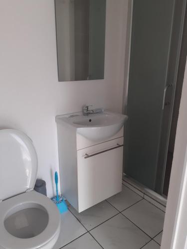 La salle de bains est pourvue d'un lavabo, de toilettes et d'un miroir. dans l'établissement Petit Studio KOUROU, à Kourou