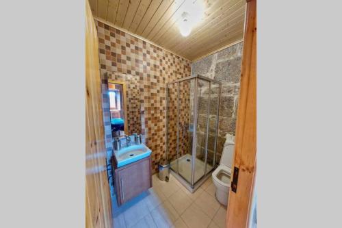 uma casa de banho com um chuveiro, um lavatório e um WC. em Casa Florestal, na Branda da Bouça dos Homens em Gavieira
