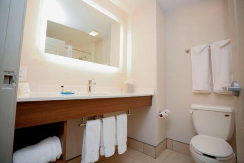 Vonios kambarys apgyvendinimo įstaigoje Holiday Inn Express Hotel & Suites Carlsbad, an IHG Hotel
