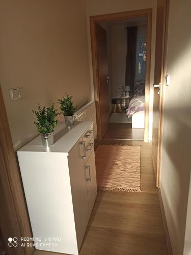 a room with a white cabinet with two potted plants on it at Familly Apartmens in Dolní Dunajovice