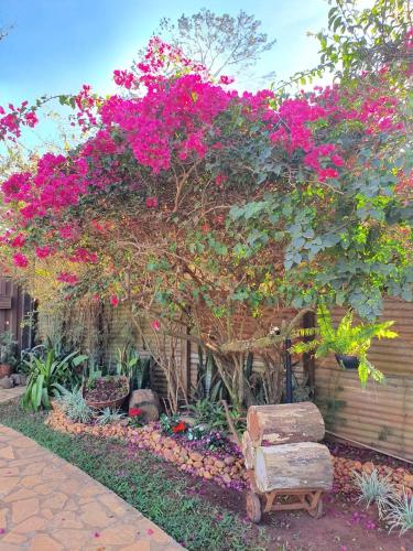 a tree with pink flowers and a chair under it at Estância das Angolas - Inhotim in Brumadinho