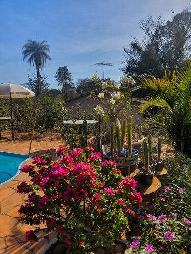 a garden with cacti and flowers next to a pool at Estância das Angolas - Inhotim in Brumadinho