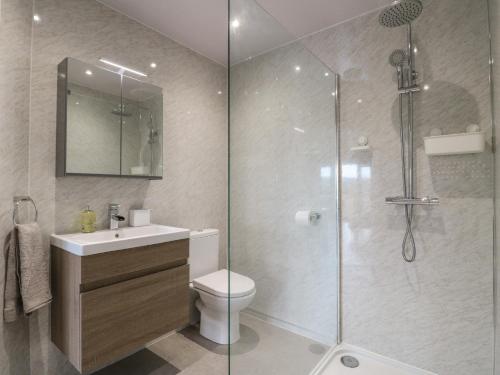 a bathroom with a shower and a toilet and a sink at Slitting Mill Annex in Rugeley