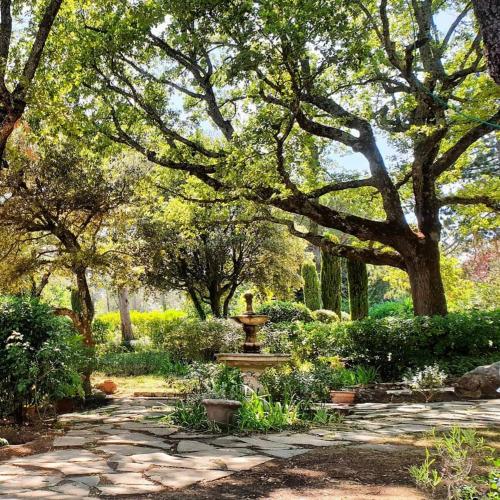 a garden with a fountain in a park with trees at Domaine du Bois d'Amont in Cabris