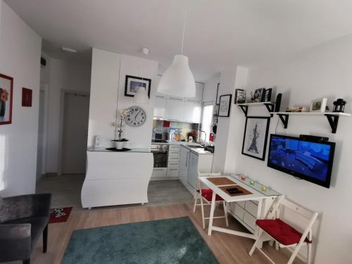 Eldhús eða eldhúskrókur á Apartment Jovana Krunska