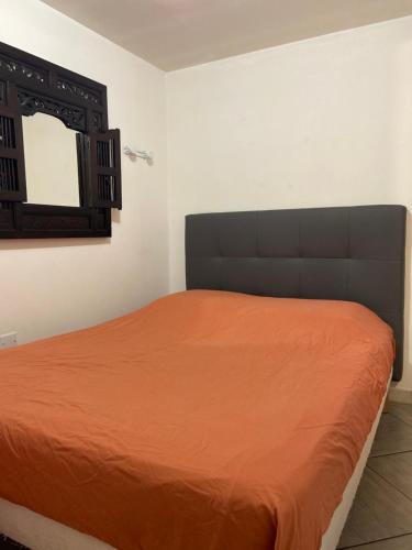 a bedroom with a bed with an orange bedspread and a mirror at Séjour avec SPA **** sous le soleil ou sous les étoiles in Vauvert