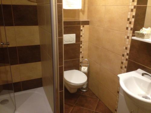 a small bathroom with a toilet and a sink at Hotel Starý Mlýn in Mlýnec