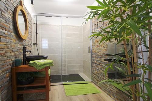 La salle de bains est pourvue d'une douche et d'un tapis vert. dans l'établissement L'Evasion Lourdaise Terrasse Centre Parking wifi, à Lourdes