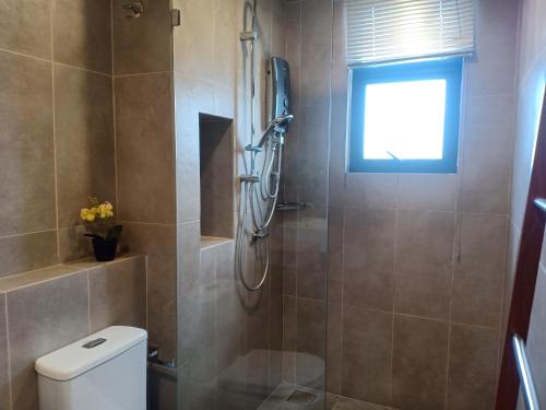 a bathroom with a shower and a toilet and a window at Timurbay Lavender Homestay in Kampung Sungai Karang