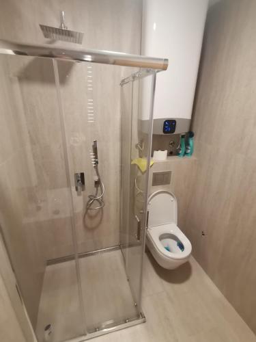 a bathroom with a shower and a toilet at V&Dj in Čajetina