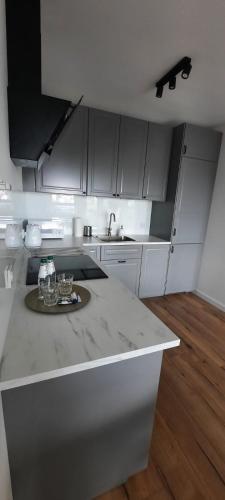 une cuisine blanche avec une plaque de cuisson sur un comptoir dans l'établissement Apartament Nel, à Zielona Góra