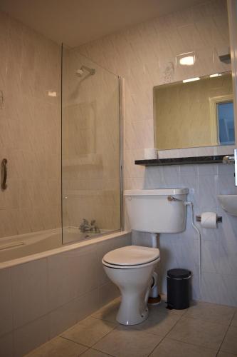 Aran View Holiday Home tesisinde bir banyo