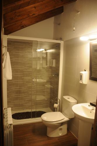 a bathroom with a shower and a toilet and a sink at EL VASALLO 2 in Tragacete