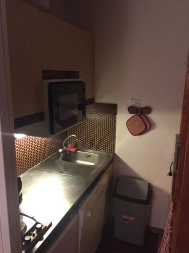une petite cuisine avec un évier et un micro-ondes dans l'établissement La Foux d'Allos joli studio familial 2-4 pers, ski et randonnées, à Allos