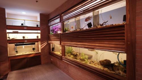 a hallway with a fish tank on a wall at 1775 Adriatico Suites in Manila