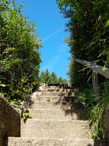 a set of stairs with trees and a blue sky at Miniponyhof Biohof Almbauer in Waidhofen an der Ybbs