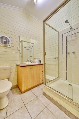 a bathroom with a shower and a toilet and a sink at Snow Ski Apartments 14 in Falls Creek