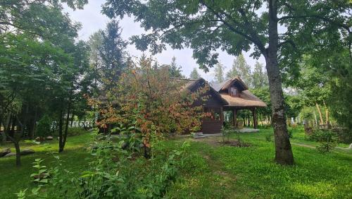 Zdjęcie z galerii obiektu PanAnn Organic Farm w mieście Narewka