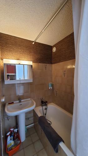 une salle de bain avec un lavabo et une baignoire dans l'établissement Studio 05 Saint Honoré 1500, Vue montagne et lac, 2 personnes, Série Anthracite Netflix, à Saint-Honoré